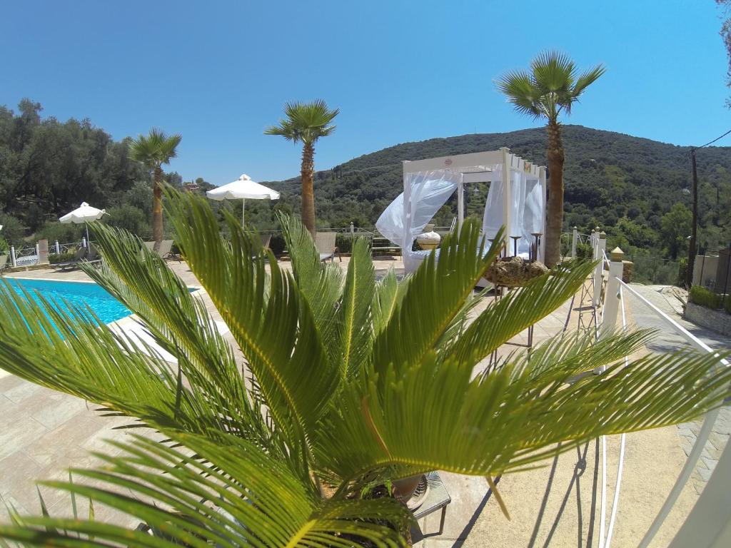 Apartamento Golden Sun Parga Exterior foto
